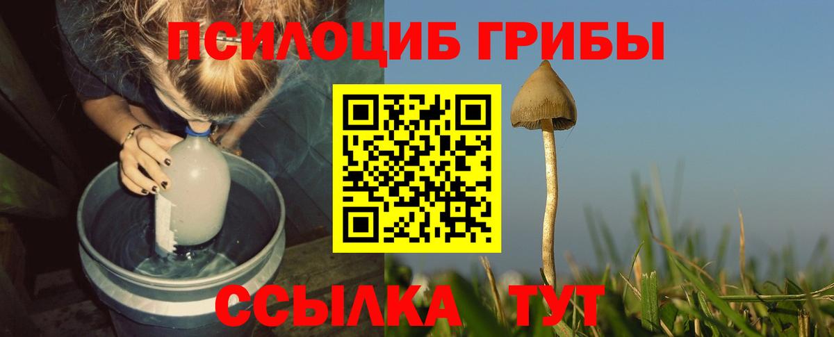 Петропавловск-Камчатский  Псилоцибиновые грибы Psilocybe  Вход с VPN 