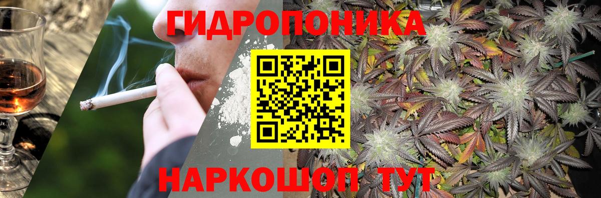Конопля гибрид  Бошки марихуана конопля  МАРИХУАНА планчик  Вход с VPN  Петропавловск-Камчатский 